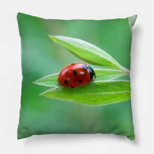 Pretty little red ladybug on a leaf Pillow