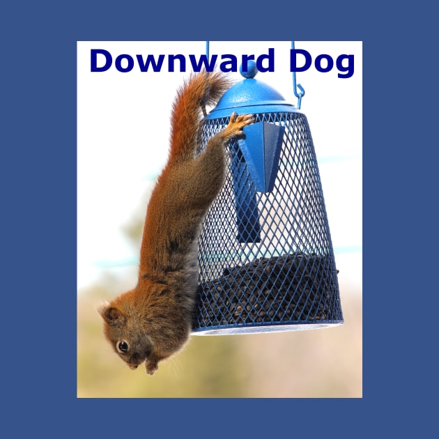 Downward Dog by Judy Geller