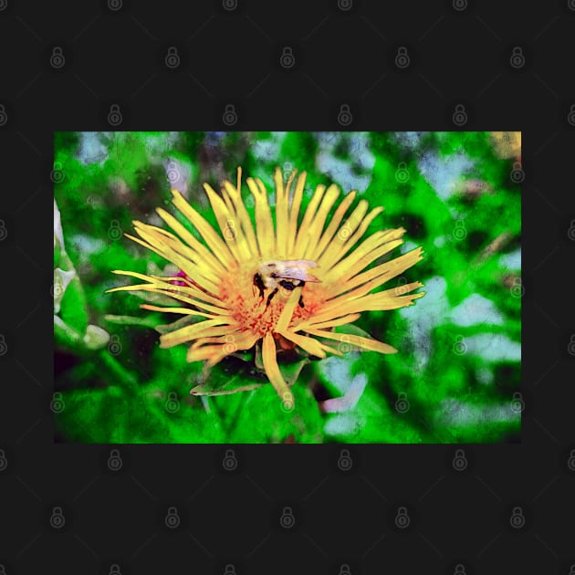 Bee On Elecampane Flower 2 by Robert Alsop