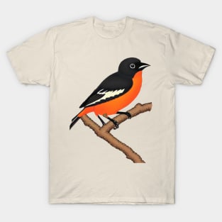 Just A Girl Who Loves Orioles Birds Oriole Lovers T-Shirt