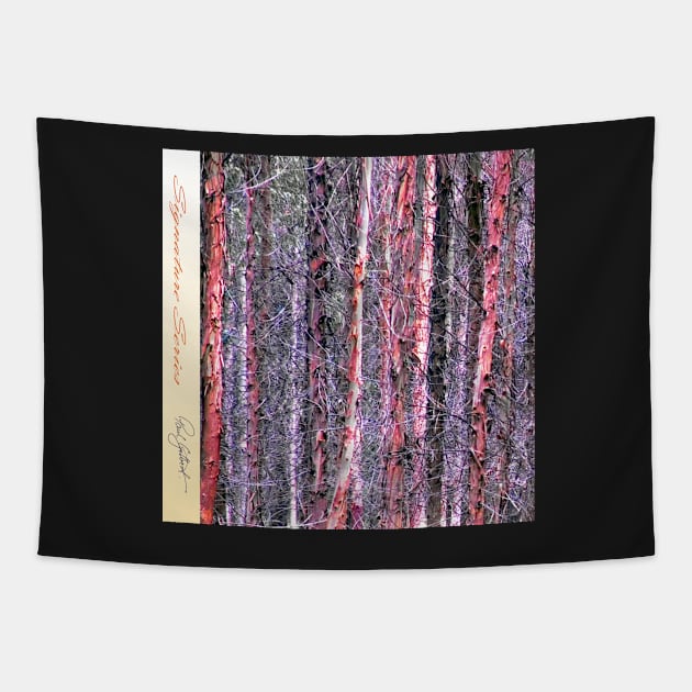 Scarf #8 - Signature Series Tapestry by pops