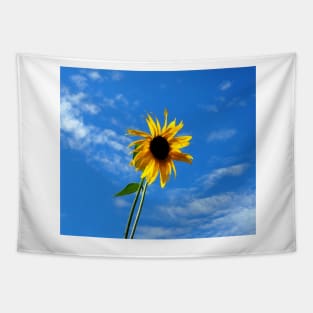 Lone Yellow Sunflower against the Summer Blue Sky Tapestry