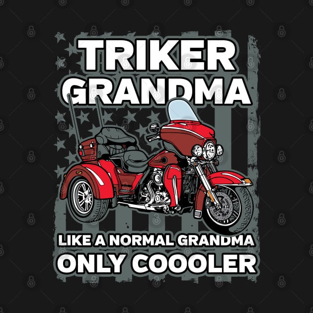 Triker Grandma by RadStar