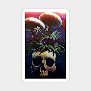 Psychedelic skull. head pot Magnet