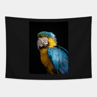 Blue and Gold Macaw Tapestry