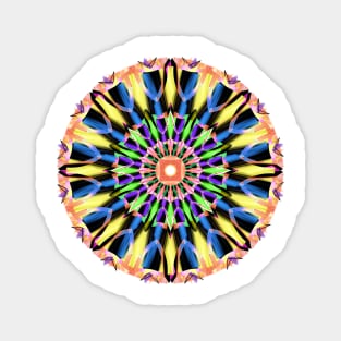 Kaleidoscope Magnet