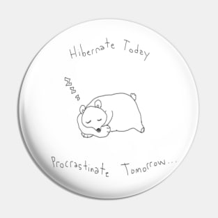 Hibernate Today, Procrastinate Tomorrow... Pin