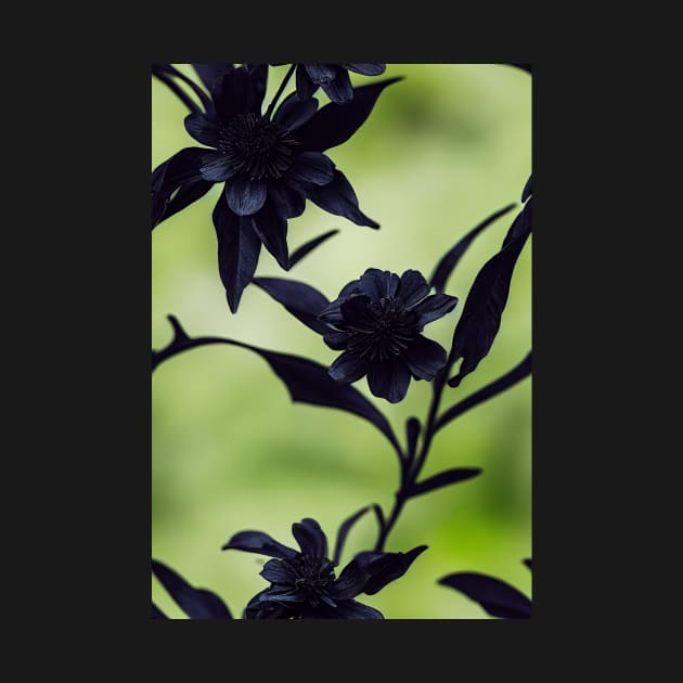 Beautiful Black Flowers, for all those who love nature #85 by Endless-Designs