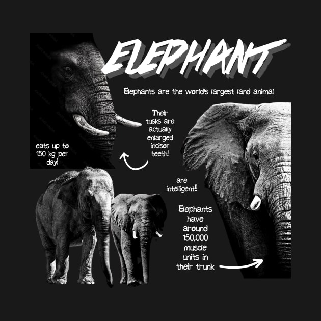 Elephant Fun Facts by Animal Facts and Trivias