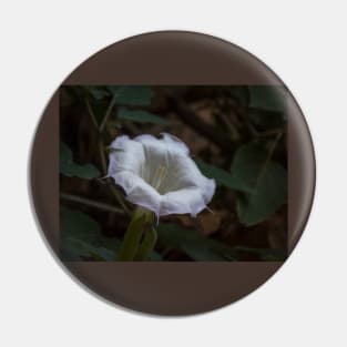 Sacred Datura - White Wildflower Pin
