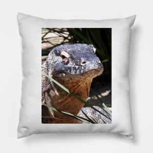 Komodo Dragon Pillow