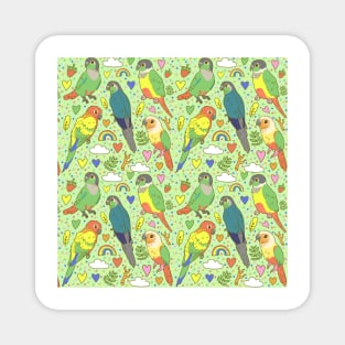 Colourful Conures Pattern Magnet