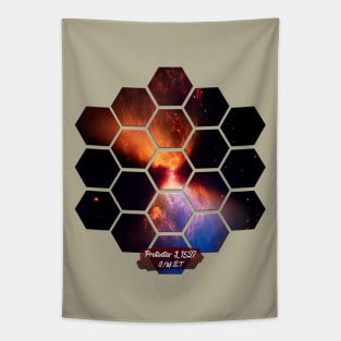 Protostar L1527: James Webb Space Telescope Tapestry