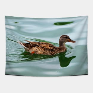 Duck Swimming In a Pond Tapestry