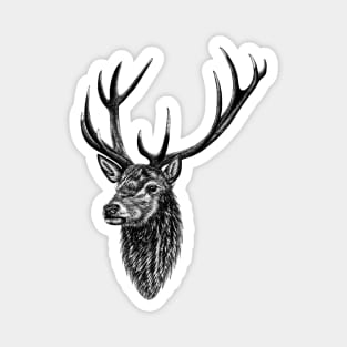 Red deer stag - ink illustration Magnet