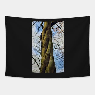 Twisted tree trunk Tapestry