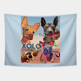 XOLO Darlings (Mexican hairless dogs)  5 puppies Tapestry