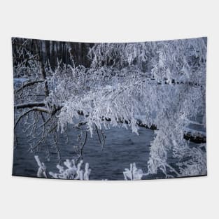 Deep Freeze. Tapestry