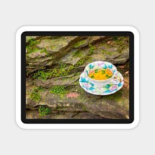 Tea On the Rocks Magnet