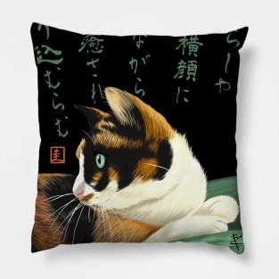 My lovely cat Pillow