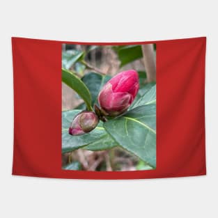 Emerging Camellia bud Tapestry