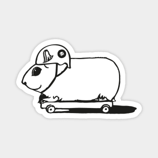 Guinea Pig on Skateboard Magnet