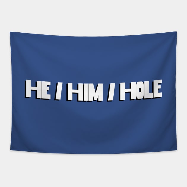 He / Him / Hole Tapestry by DiaperedFancy