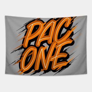 Pac One Windy Splats Tapestry