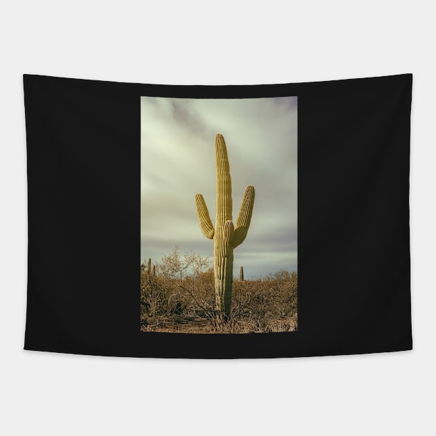 Saguaro Tapestry by jvnimages