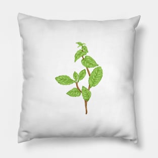 Mint Plant Botanical Pillow