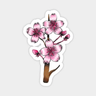 Japanese Cherry Blossom Flowers Magnet