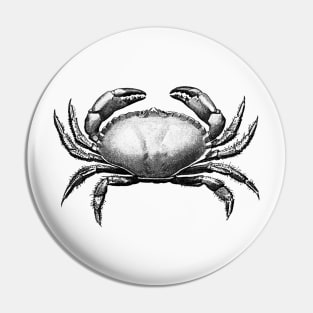 Vintage Crab Sketch Pin