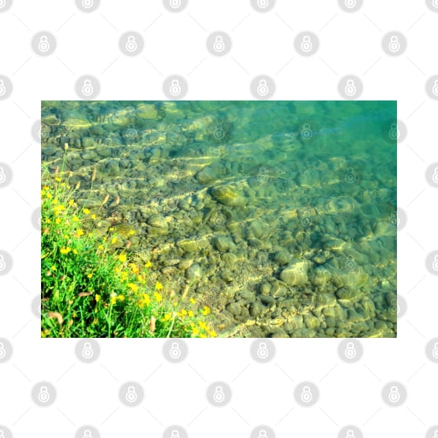 Overview from Santarelli lakes with greenery, yellow flowers and crystalline waters with stones by KristinaDrozd