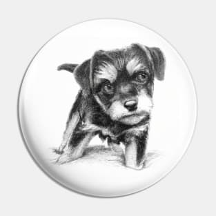 Curious Puppy Dog Pin