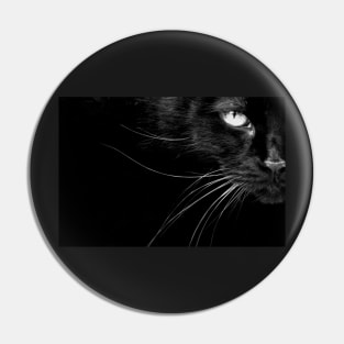 The Cat's Whiskers Pin