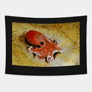 Small octopus Tapestry