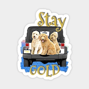 GOLD Doodles Magnet