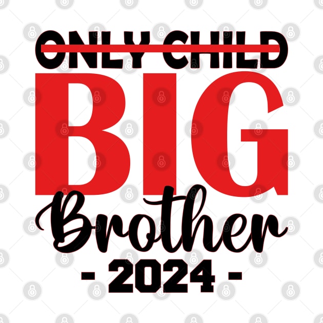 only child big brother 2024 by mdr design