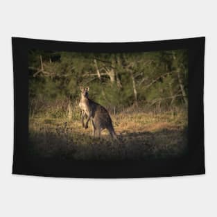 Kangaroo Tapestry