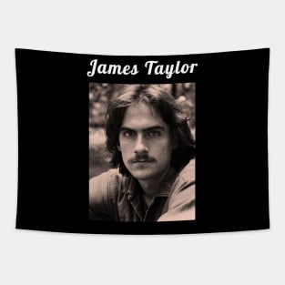 James Taylor / 1948 Tapestry