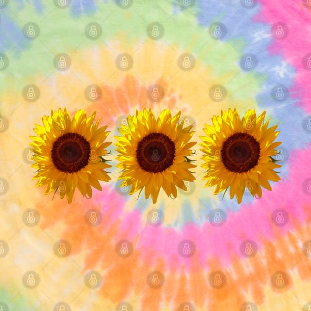 Three Sunflowers Photo by ellenhenryart