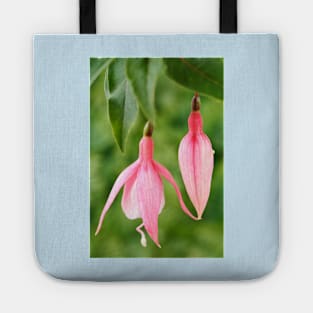 Fuchsia  &#39;Miss California&#39; Tote