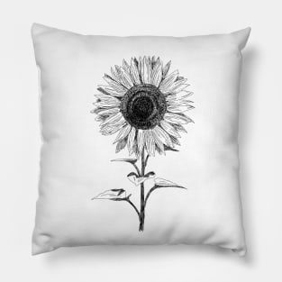 Hand drawn Sunflower Pillow