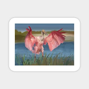 A Possessive Roseate Spoonbill Bird Magnet