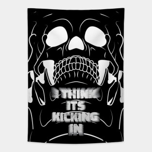 I Think Its Kicking In (Mono) Tapestry