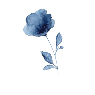 Plants and Flowers