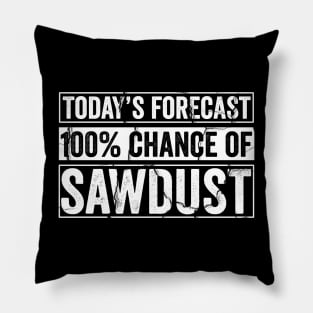 Today's Forecast 100% Sawdust Pillow