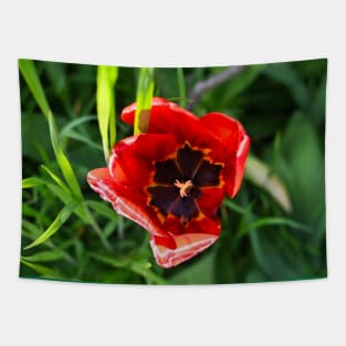 Red Tulip Tapestry