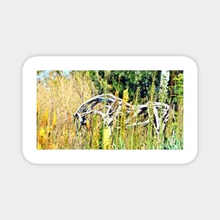 Grazing Wooden Horse Magnet