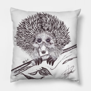 Echidna Pillow